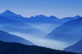 世界体能恢复科研基金第50轮资助指南与流程发布，世界体能比赛