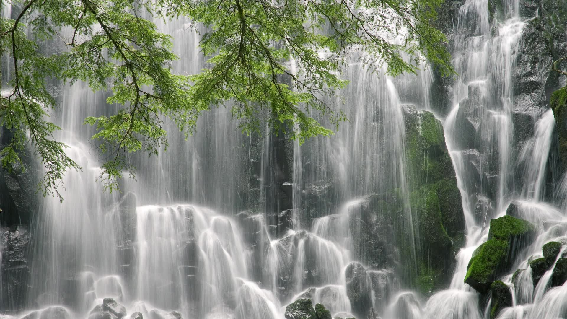 世界举重青年赛选材与训练负荷平衡研究,世界举重锦标赛奖金