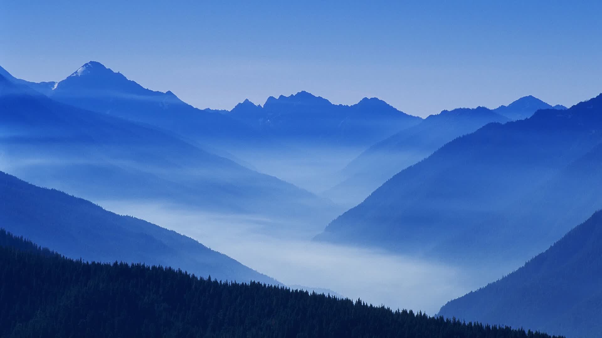 世界保龄球巡回赛城市站青少年赛事报名启动,世界保龄球大赛视频